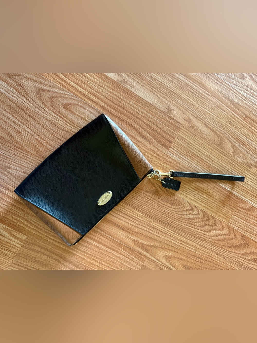 Small Coach Purse